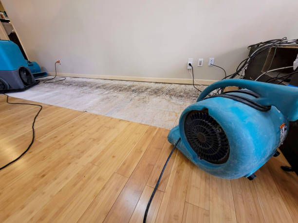 Professional Water Damage Repair technician working in Topton, PA